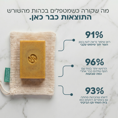 מארז ההבהרה של אניו