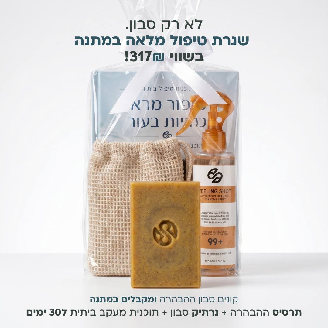 מארז ההבהרה של אניו