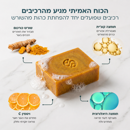 מארז ההבהרה של אניו